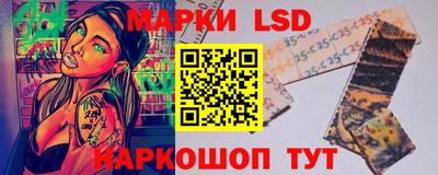 индика Рыбинск