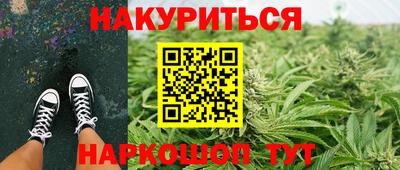 индика Рыбинск