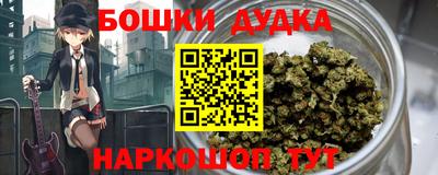 индика Рыбинск