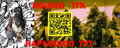 индика Рыбинск
