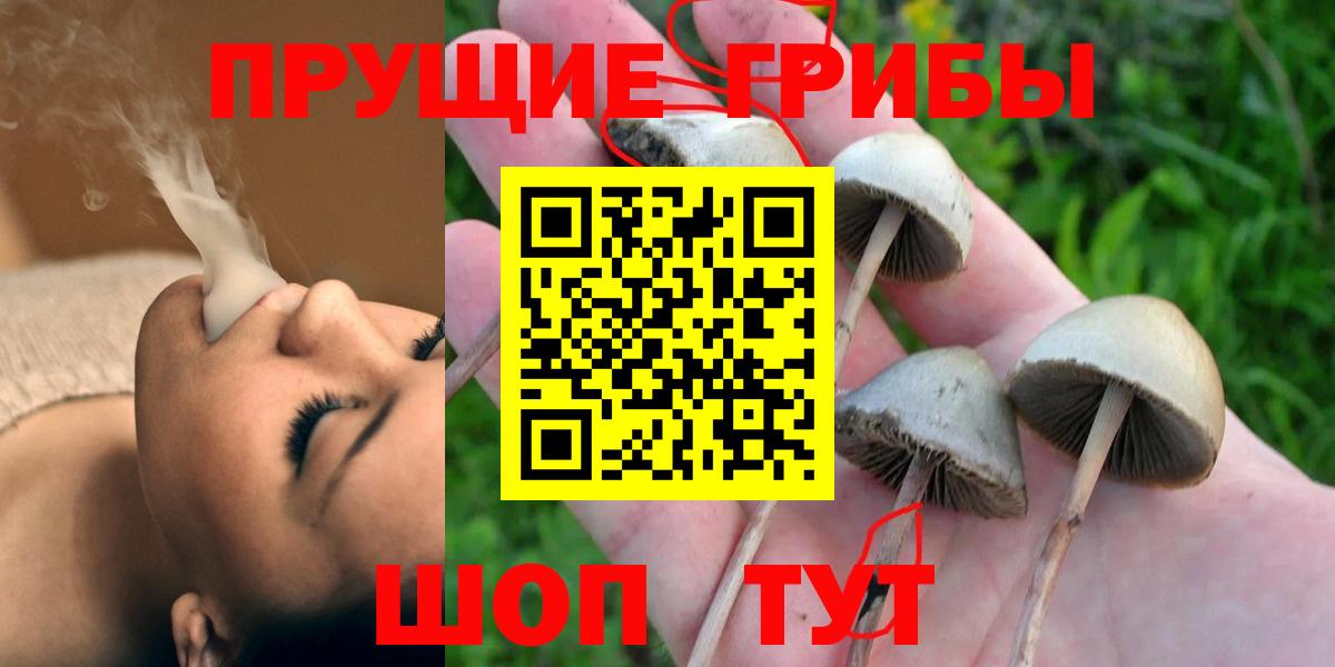 Тавда  Галлюциногенные грибы Magic Shrooms  Вход с VPN 